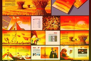 新寶股份002705公司簡(jiǎn)評(píng)報(bào)告：全年收入增長(zhǎng)穩(wěn)健海外表現(xiàn)優(yōu)異